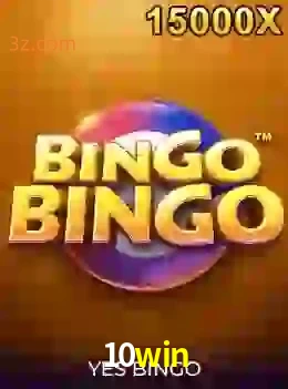 bingobingo
